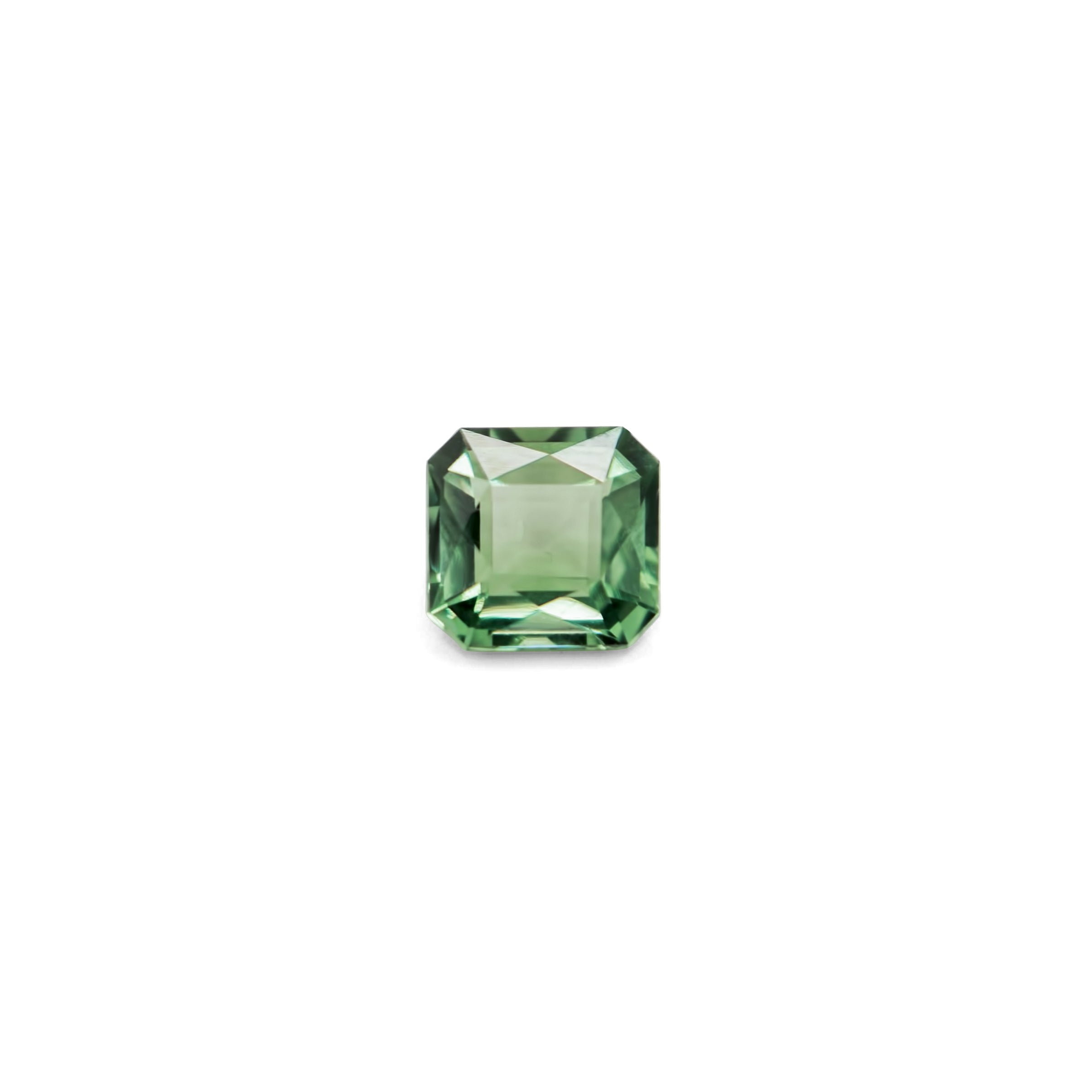 Tourmeline | 2.71ct | Octagonal